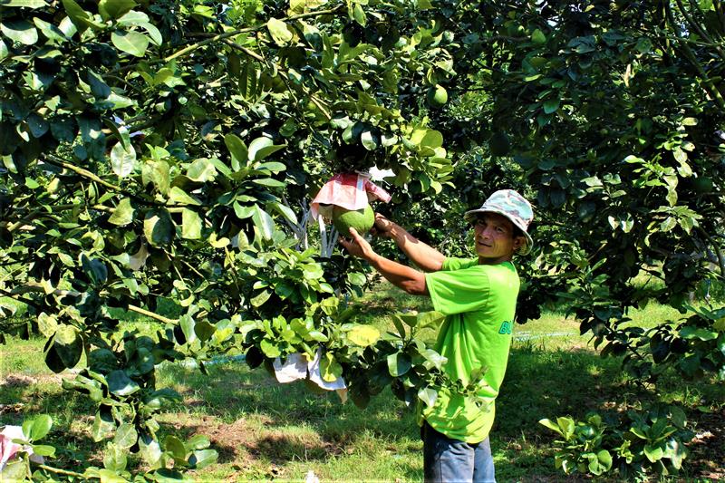 Du lịch nông thôn tại Đạ Tẻh cũng mang đến cho du khách cơ hội hòa mình vào đời sống địa phương. Du lịch nông thôn tại Đạ Tẻh cũng mang đến cho du khách cơ hội hòa mình vào đời sống địa phương.